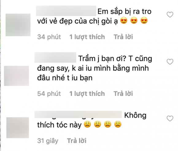 Nguyễn Lệ Nam Em, Nam Em,sao Việt
